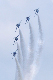 image0191