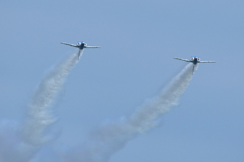 image0201