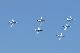 image0191