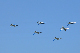 image0192