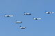 image0196