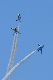 image0218