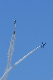 image0219
