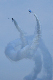 image0239