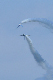 image0241