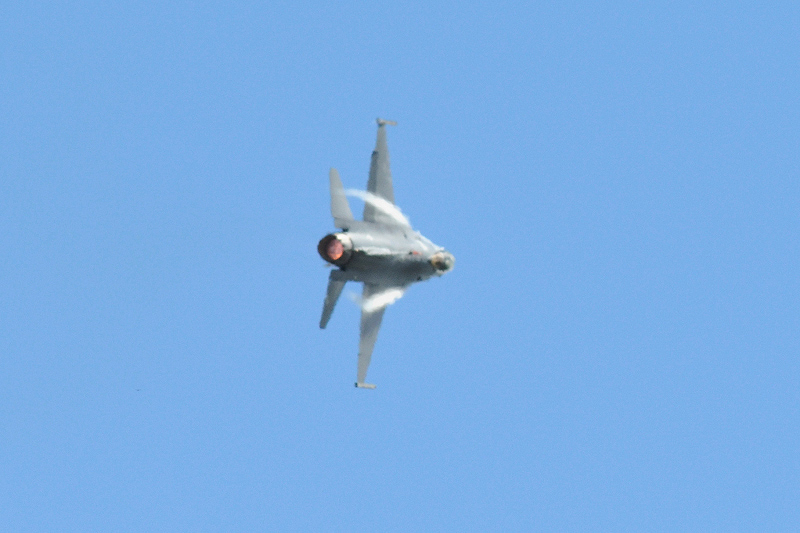 image0604