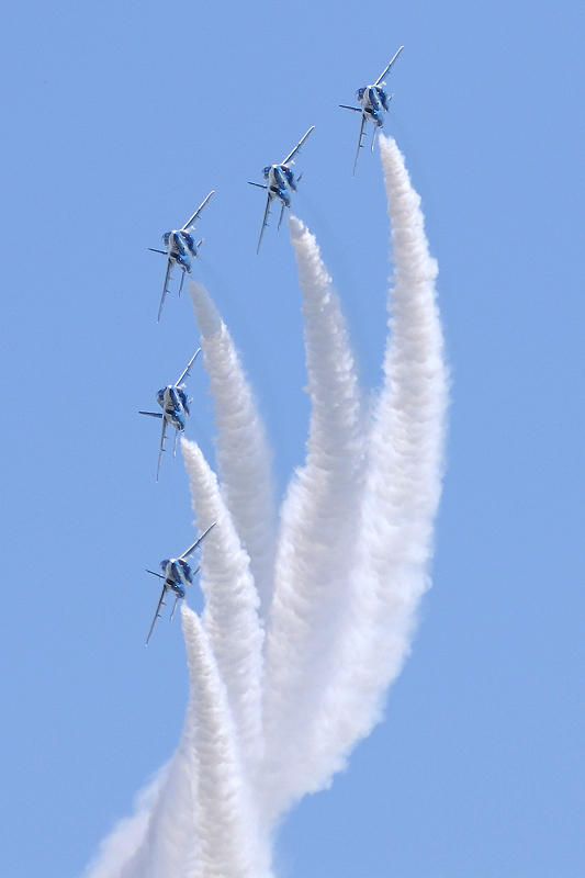 image0794