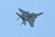 image0395