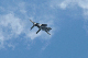 image0398