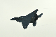 image0406