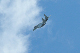 image0417
