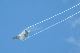 image0419