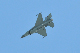 image0495
