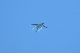 image0503
