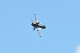 image0537