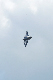 image0539
