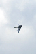 image0540