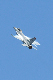 image0560