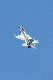 image0561