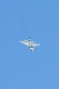 image0571