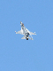image0594