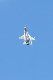 image0595