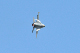 image0604