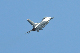 image0615