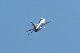 image0616