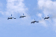 image0756