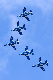 image0801