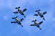 image0855