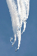 image0948