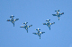 image0976