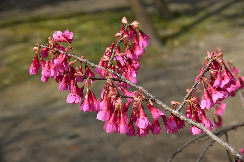 image0103