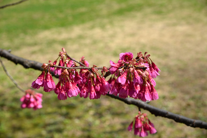 image0104