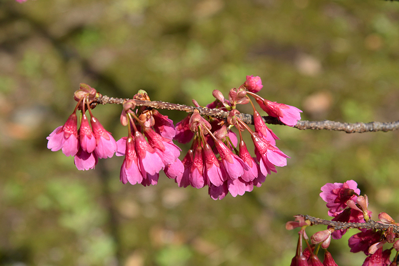 image0105