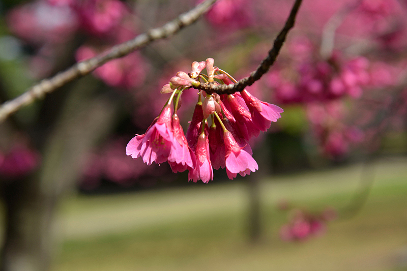image0112