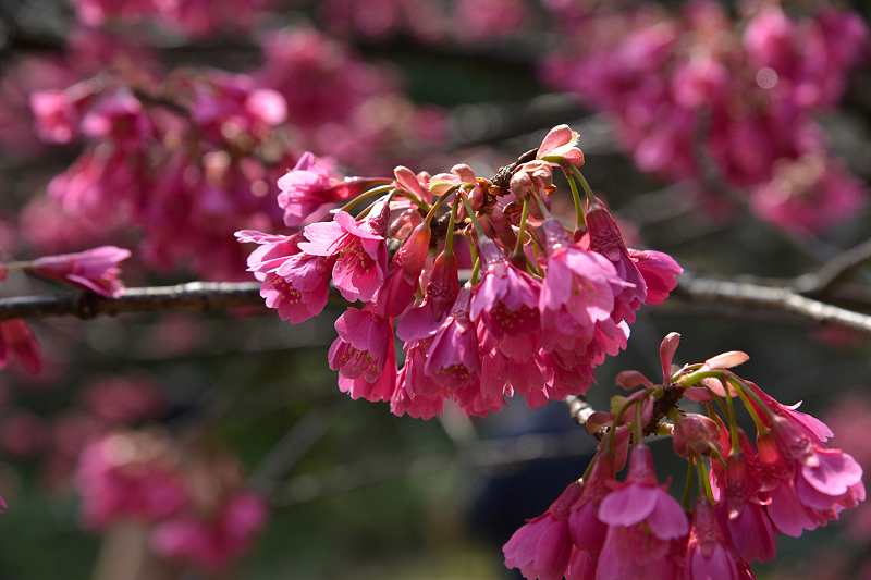 image0117