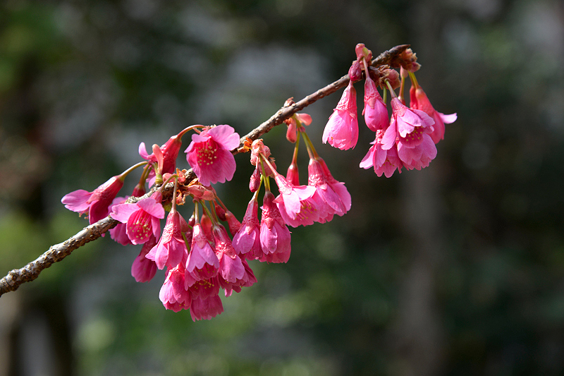 image0118