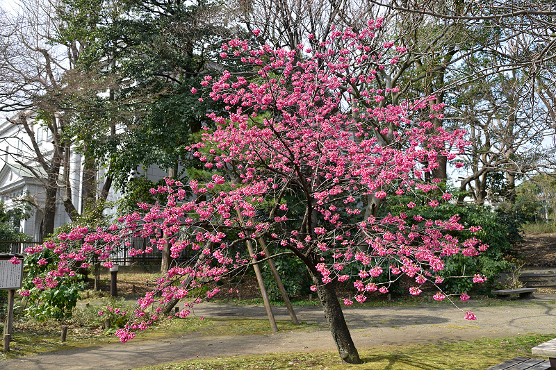 image0119