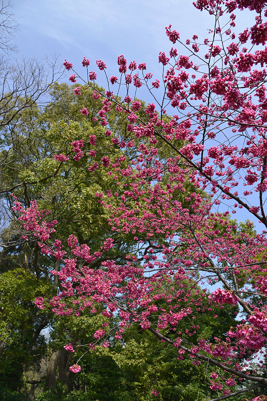 image0121
