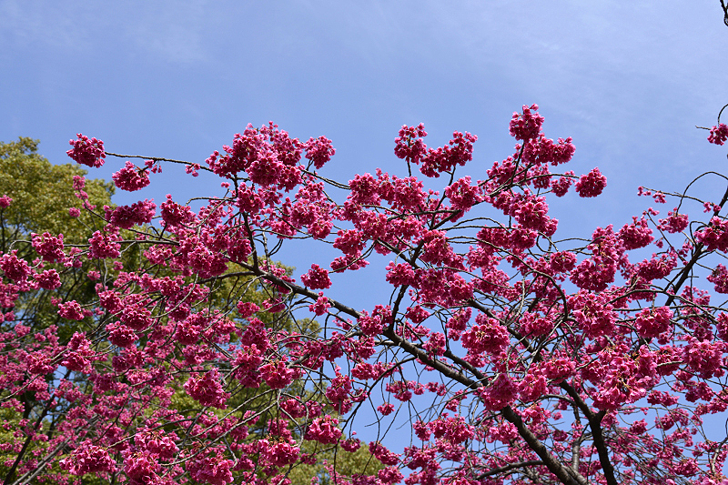 image0122