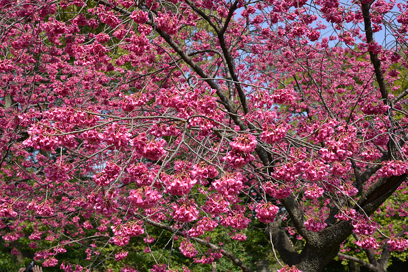 image0123