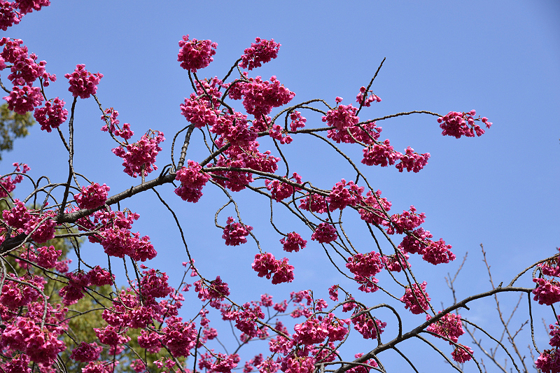 image0126