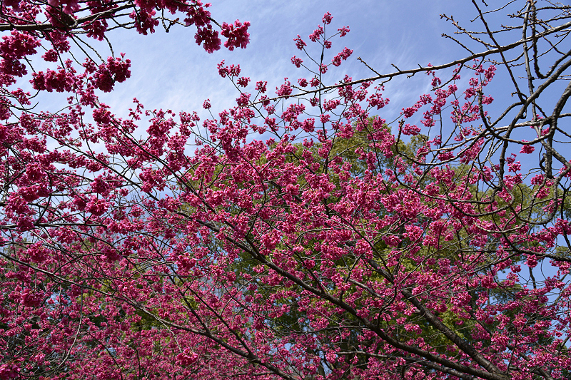 image0130