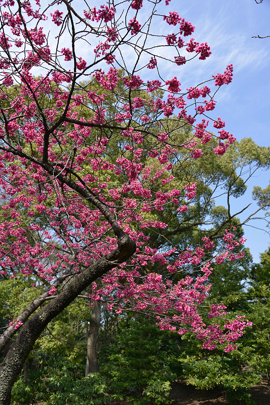 image0131
