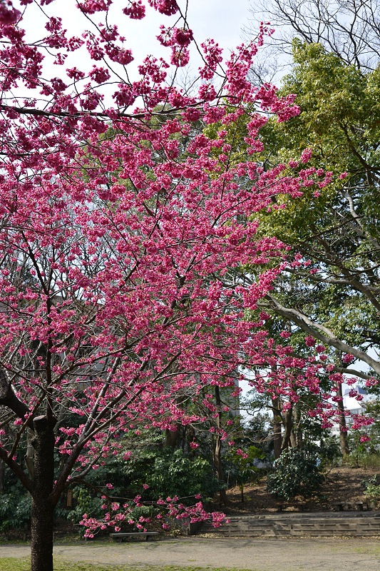 image0133