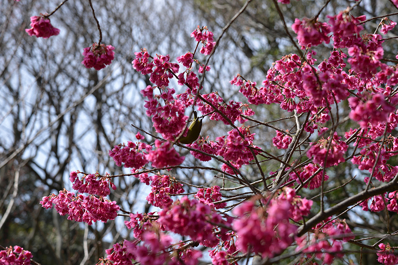 image0134