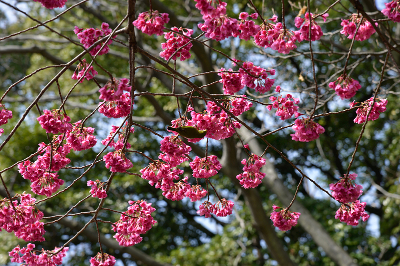 image0136